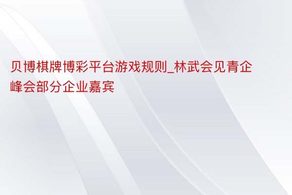 贝博棋牌博彩平台游戏规则_林武会见青企峰会部分企业嘉宾