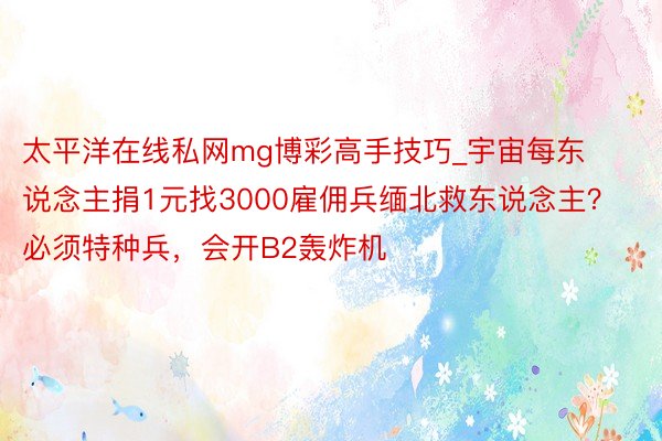太平洋在线私网mg博彩高手技巧_宇宙每东说念主捐1元找3000雇佣兵缅北救东说念主？必须特种兵，会开B2轰炸机