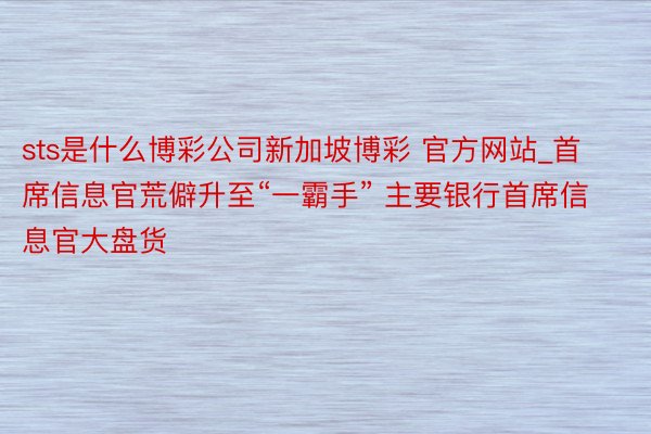 sts是什么博彩公司新加坡博彩 官方网站_首席信息官荒僻升至“一霸手” 主要银行首席信息官大盘货